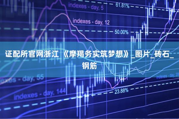证配所官网浙江 《摩羯务实筑梦想》_图片_砖石_钢筋